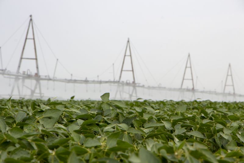 Eifs System Installation